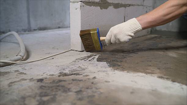24/7 Emergency Basement Waterproofing experts in Chestnut Mound, TN